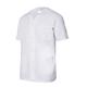 CAMISOLA VLL M/CORTA BOTONES AUTOMAT BLANCO T-12